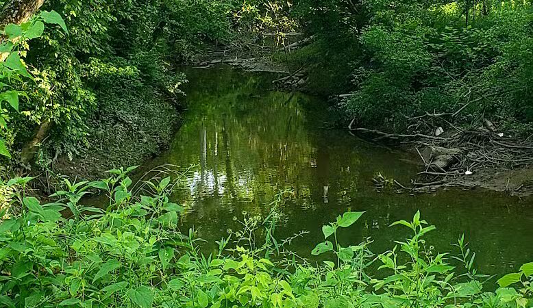 Old Town Creek Trail - Logan, OH