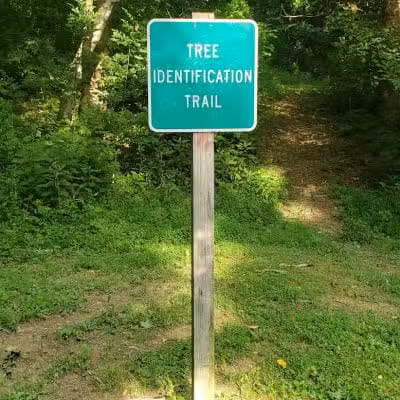 Old Town Creek Trail - Logan, OH