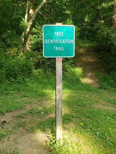 Old Town Creek Trail - Logan, OH