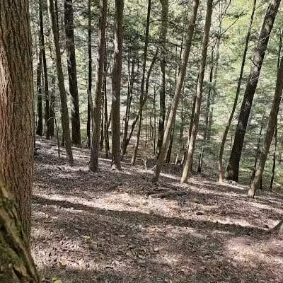 Whispering Cave Trail Head -2 Visitor Center Start - Logan, OH