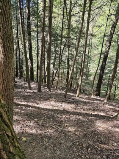 Whispering Cave Trail Head -2 Visitor Center Start - Logan, OH