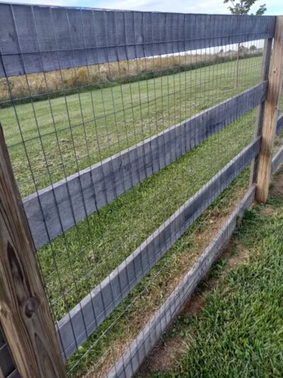 London Yelp Yard - London, OH