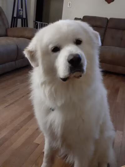 London Yelp Yard - London, OH