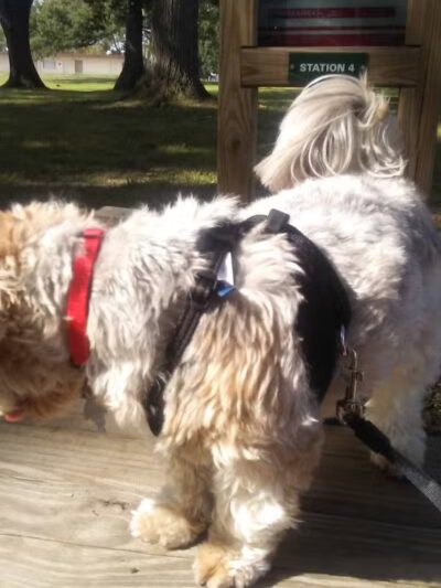 Central Park Sam Felton Memorial Park - Lorain, OH