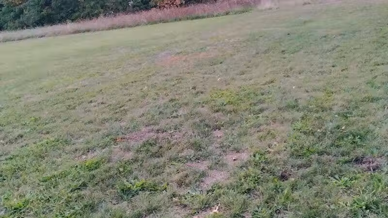 Falbo Park - Lorain, OH