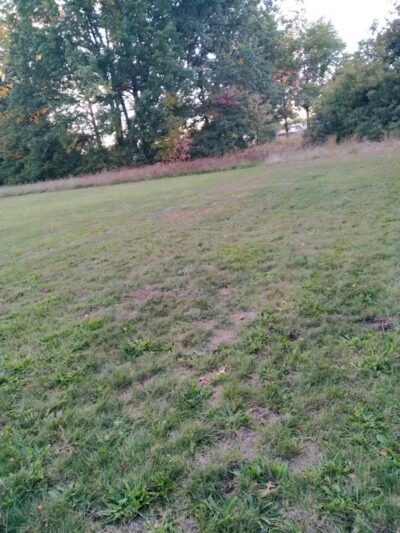 Falbo Park - Lorain, OH