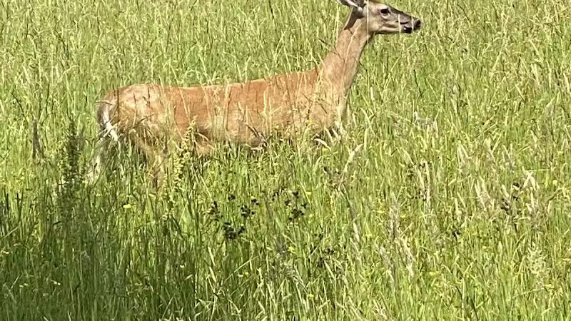 Mary C. Metzger Park - Louisville, OH