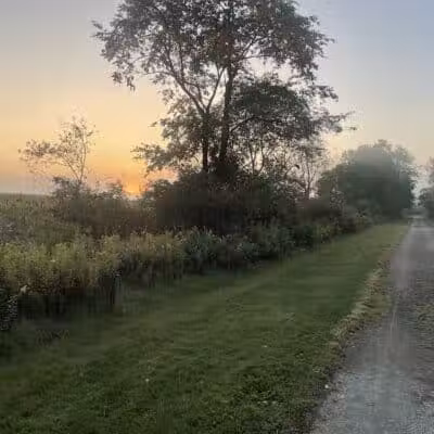 Stark Parks Nickel Plate Trailhead - Louisville, OH