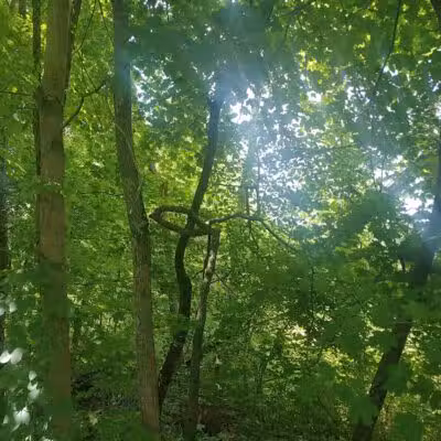 Stark Parks Nickel Plate Trailhead - Louisville, OH