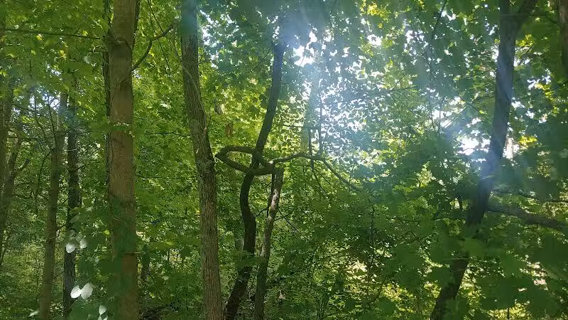 Stark Parks Nickel Plate Trailhead - Louisville, OH