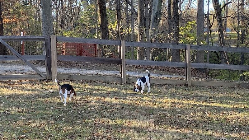 Bark Park - Loveland, OH