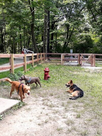 Bark Park - Loveland, OH