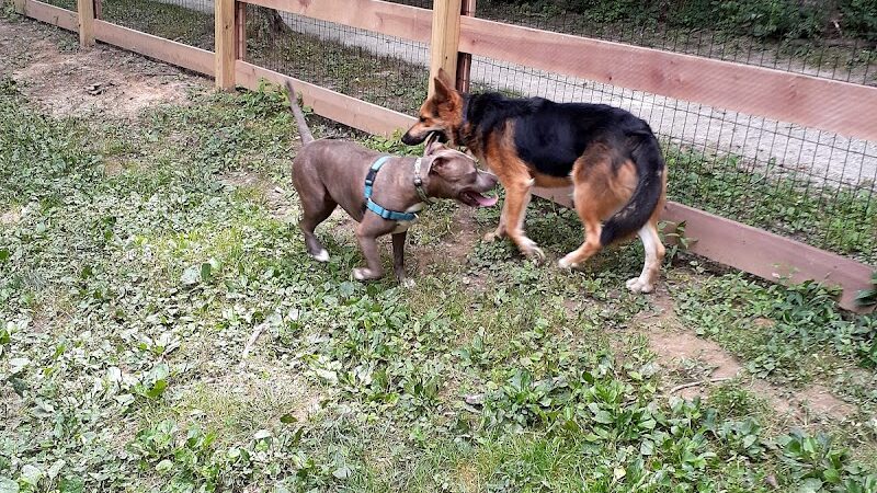 Bark Park - Loveland, OH