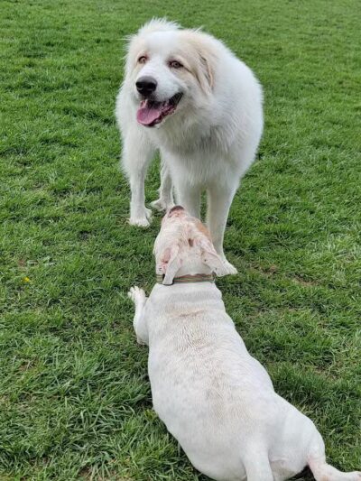 Kiwanis Park - Loveland, OH