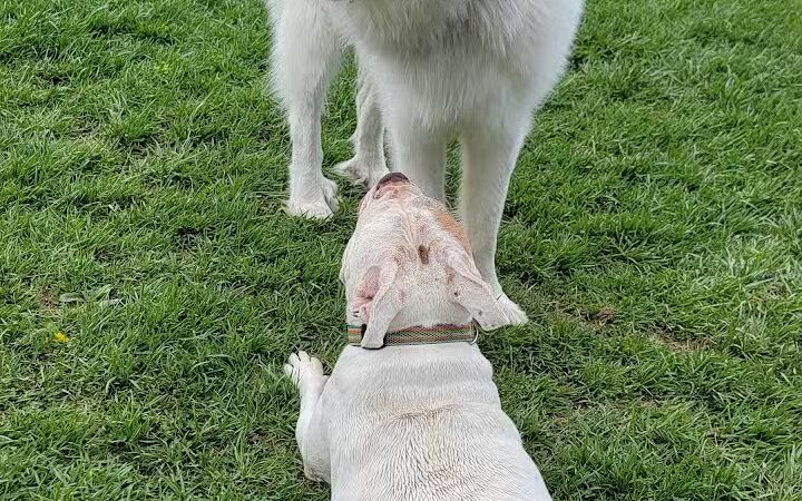 Kiwanis Park - Loveland, OH