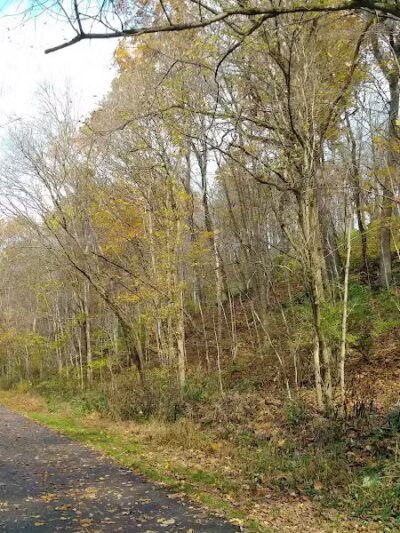 Kiwanis Park - Loveland, OH