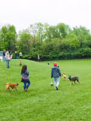 Matt Haverkamp Foundation Dog Park - Loveland, OH