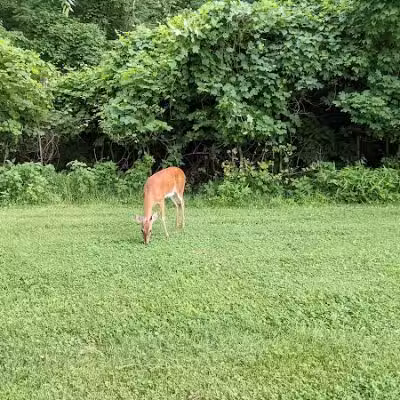 Symmes Township Park - Loveland, OH