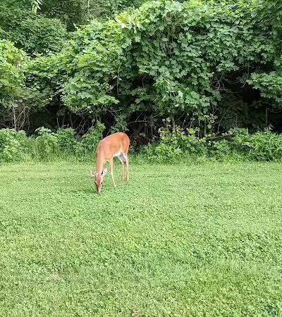 Symmes Township Park - Loveland, OH