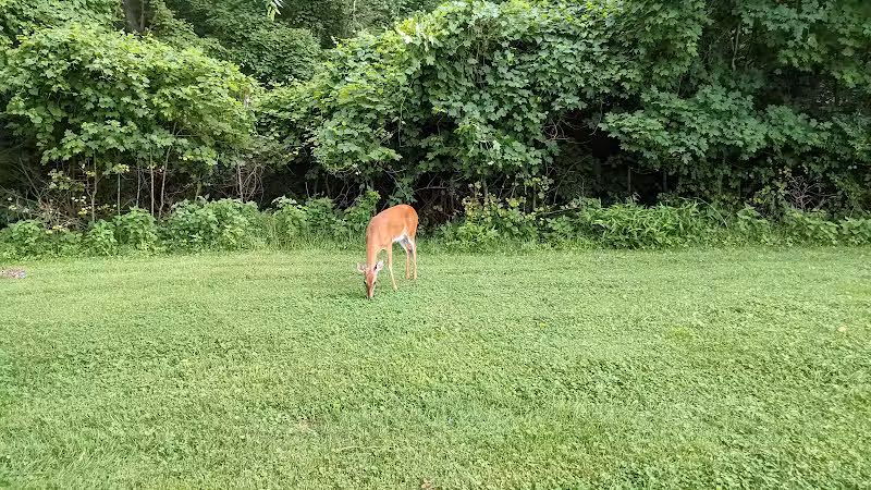 Symmes Township Park - Loveland, OH