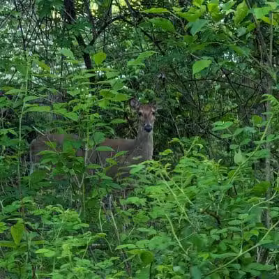 Symmes Township Park - Loveland, OH