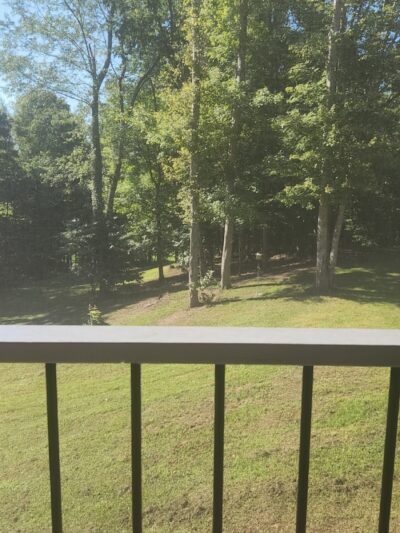 Smith Farmhouse - Lower Salem, OH