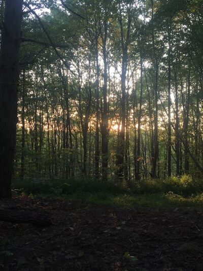 Smith Farmhouse - Lower Salem, OH