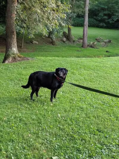 Lucas Park - Lucas, OH