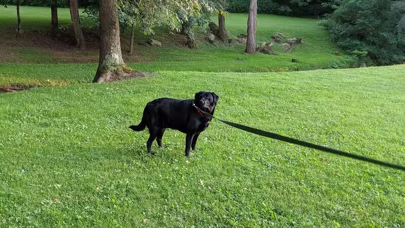 Lucas Park - Lucas, OH