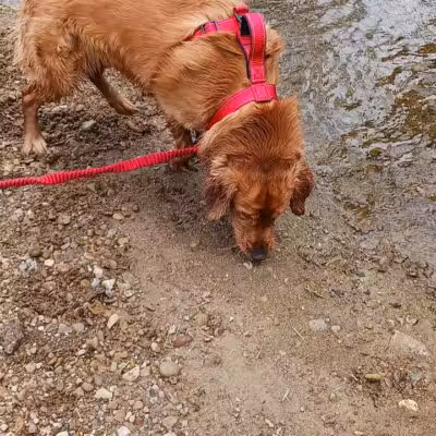 Lucas Park - Lucas, OH