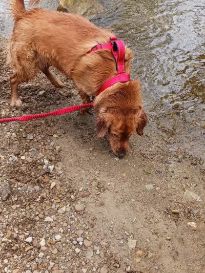 Lucas Park - Lucas, OH