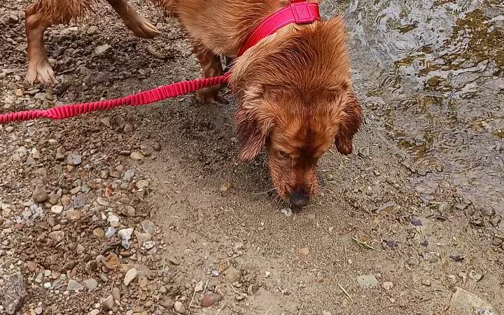 Lucas Park - Lucas, OH