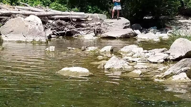 Ludlow Falls - Ludlow Falls, OH