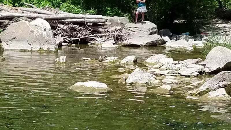 Ludlow Falls - Ludlow Falls, OH