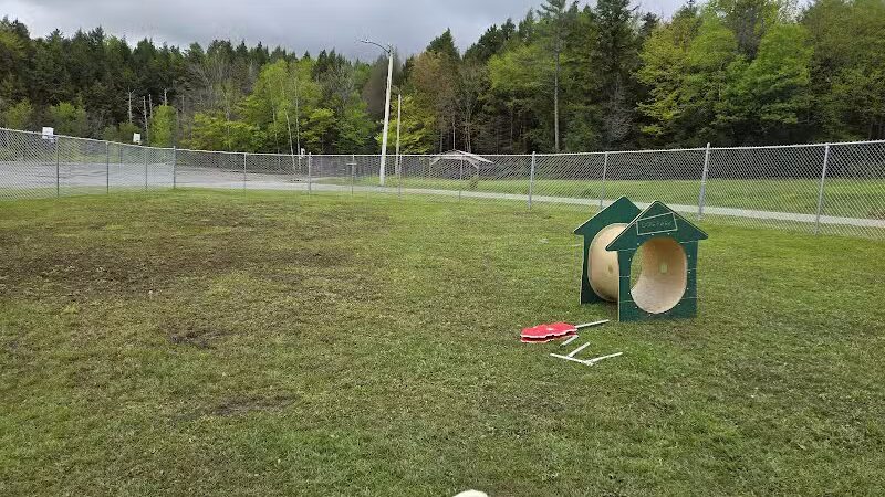 Ludlow Dog Park - Ludlow, VT