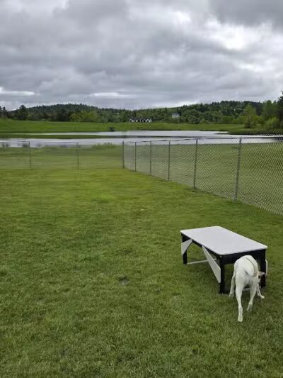 Ludlow Dog Park - Ludlow, VT
