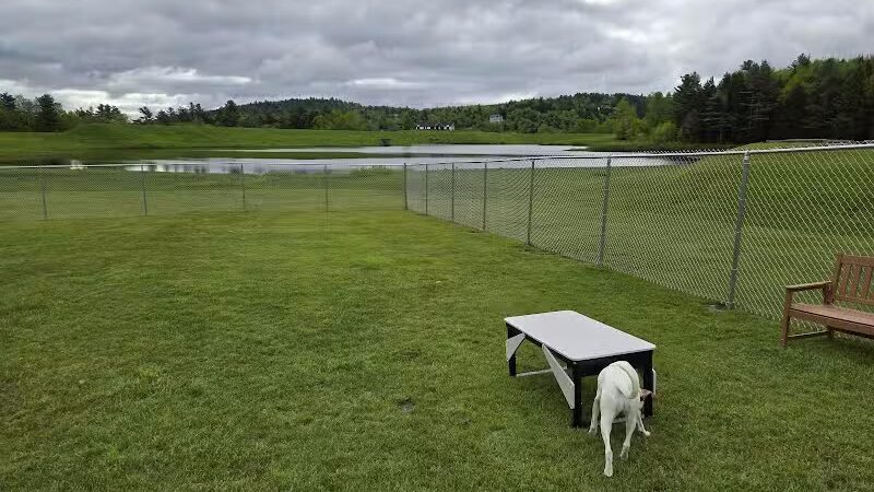 Ludlow Dog Park - Ludlow, VT