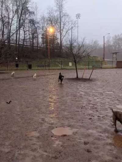 Lynchburg Dog Park - Lynchburg, VA