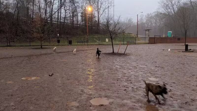 Lynchburg Dog Park - Lynchburg, VA