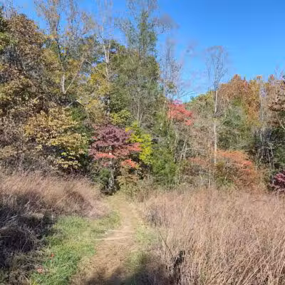 Edge of Appalachia Preserve - Buzzardroost Rock Trailhead - Lynx, OH