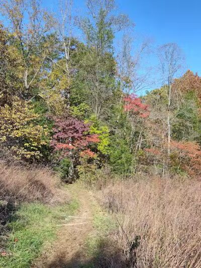 Edge of Appalachia Preserve - Buzzardroost Rock Trailhead - Lynx, OH