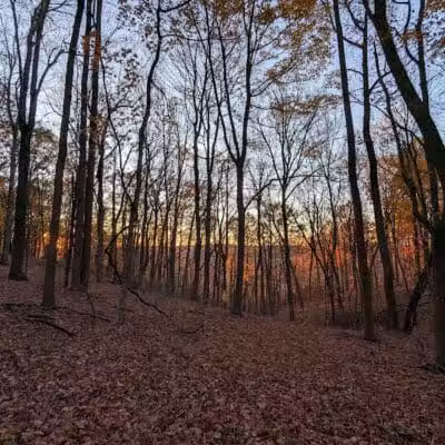 Edge of Appalachia Preserve - Buzzardroost Rock Trailhead - Lynx, OH