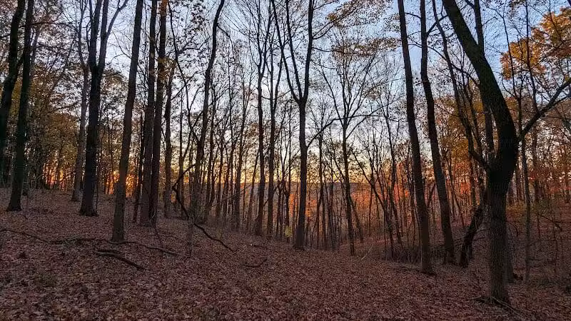 Edge of Appalachia Preserve - Buzzardroost Rock Trailhead - Lynx, OH