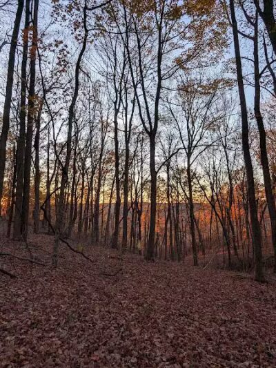 Edge of Appalachia Preserve - Buzzardroost Rock Trailhead - Lynx, OH