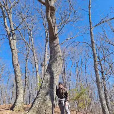 Edge of Appalachia Preserve - Buzzardroost Rock Trailhead - Lynx, OH