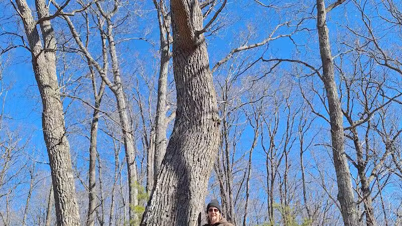 Edge of Appalachia Preserve - Buzzardroost Rock Trailhead - Lynx, OH