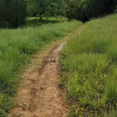 Edge of Appalachia Preserve - Buzzardroost Rock Trailhead - Lynx, OH
