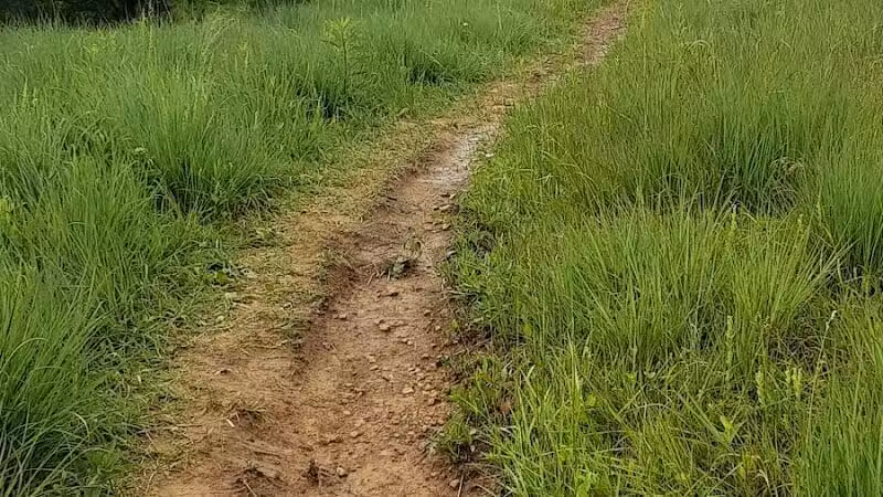 Edge of Appalachia Preserve - Buzzardroost Rock Trailhead - Lynx, OH