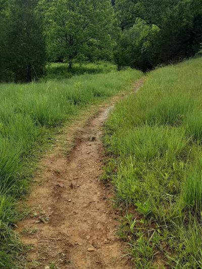 Edge of Appalachia Preserve - Buzzardroost Rock Trailhead - Lynx, OH
