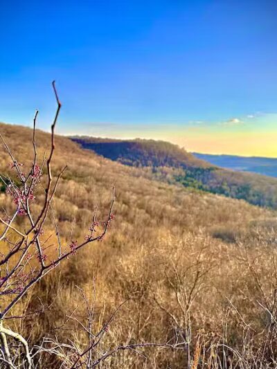 Edge of Appalachia Preserve - Buzzardroost Rock Trailhead - Lynx, OH
